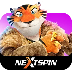 nextspin provider
